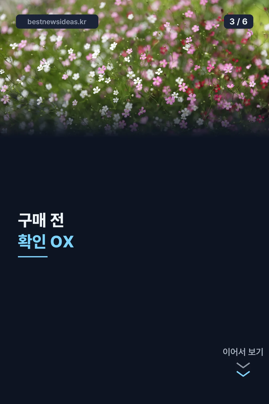 구매 전 확인 OX