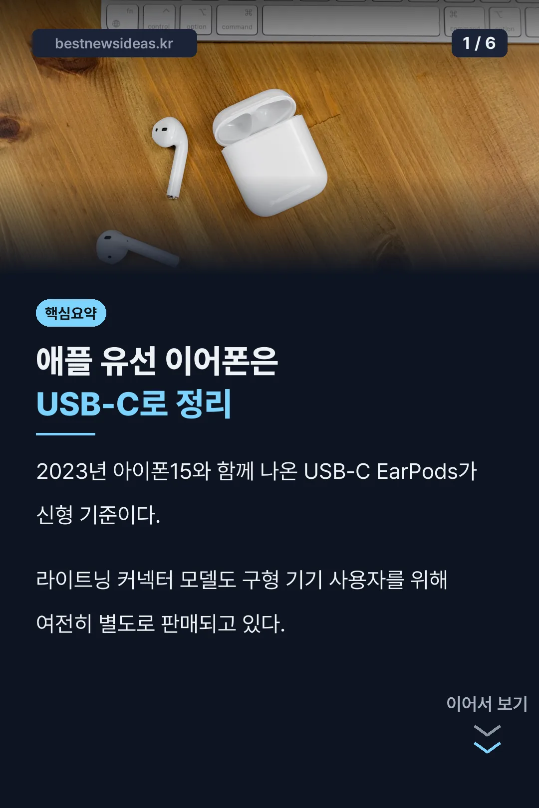 애플 유선 이어폰 핵심 요약