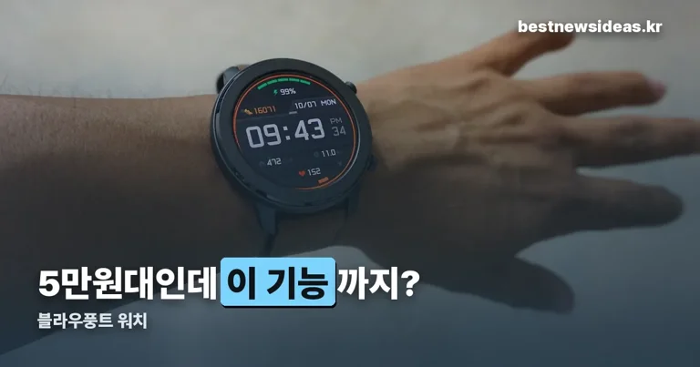 블라우풍트 워치 정리 썸네일